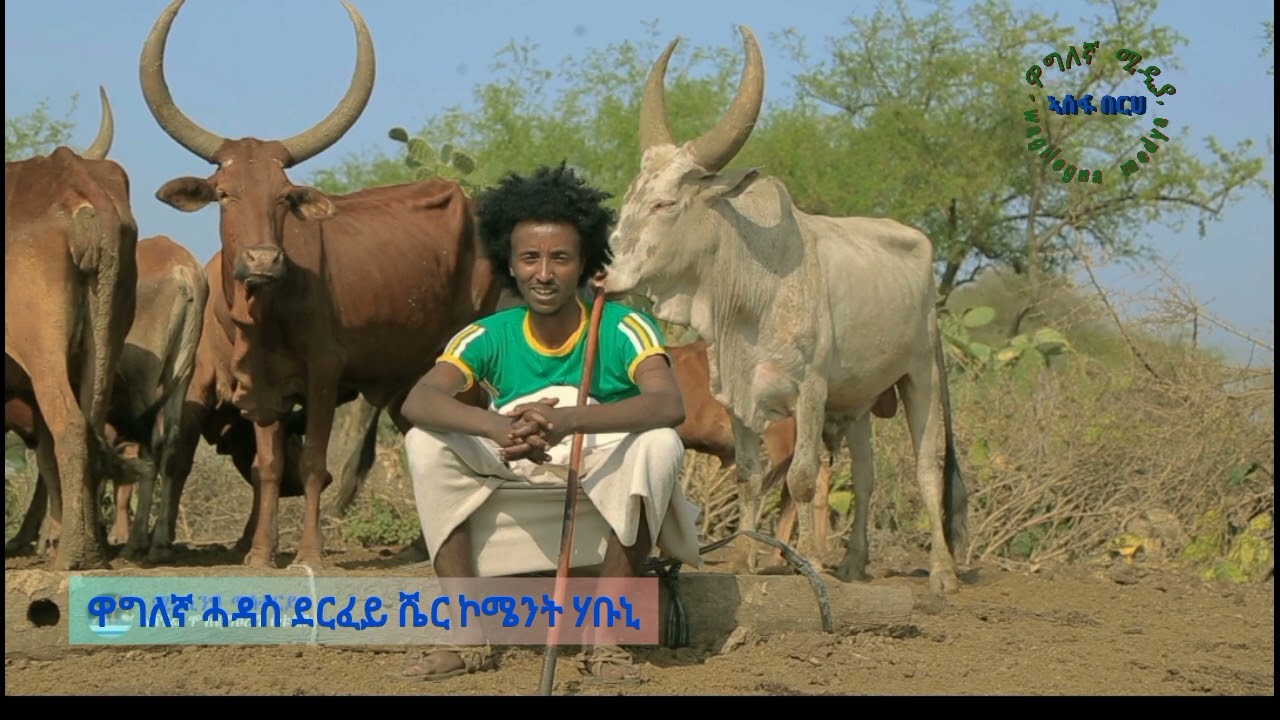 ❤ፍቕሪ ጃባ🙏 ብገጣሚ ኣታኽልቲ እምባየ (ይምፃእ ሸገ ወቅቲ) ጉማየ ኣሰፋ በርሀ( ወዲቦ ዶሪ )ትኣንገዱታ🙏