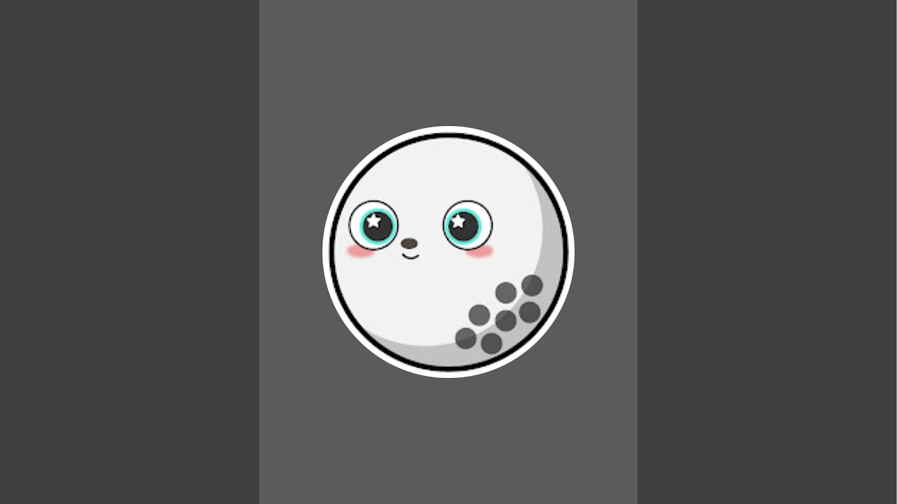 チャオプリウス保存