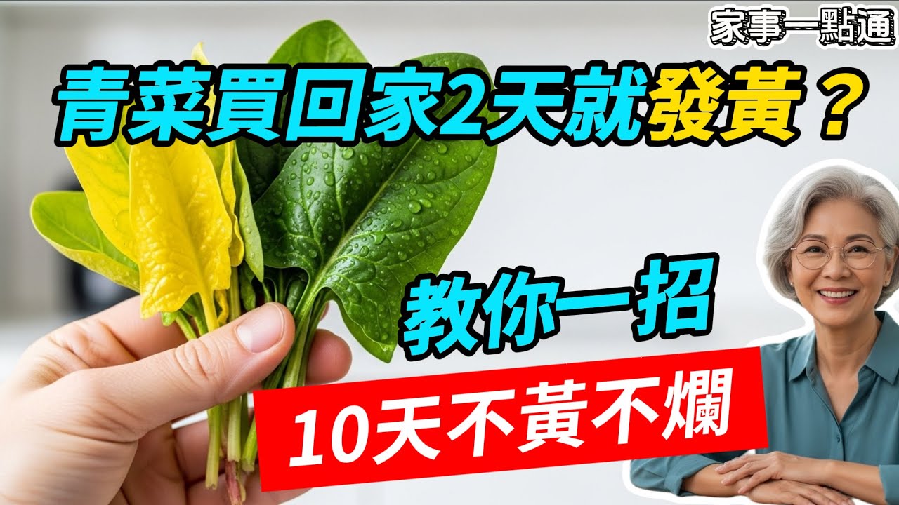 剛買的青菜2天就爛？因為你少了這關鍵一步！難怪錢都白花了。