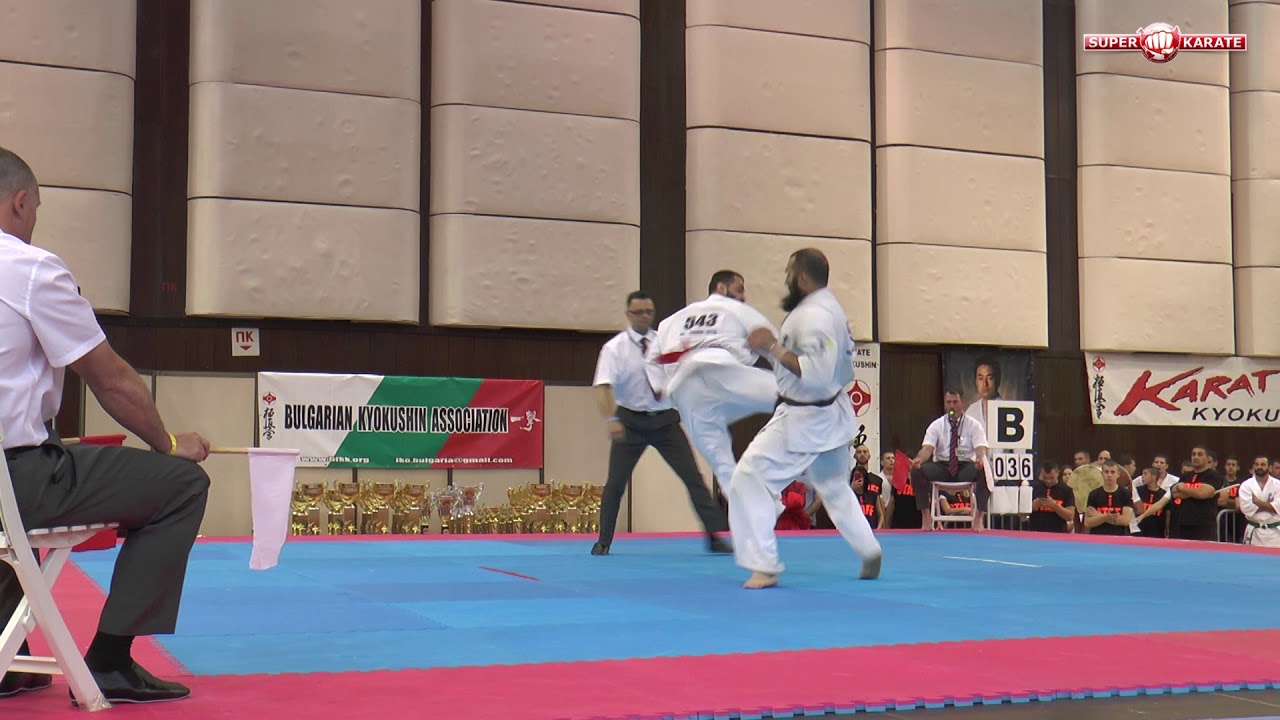 Alejandro Navarro vs. Goderzi Kapanadze. 32 European Weight Category Karate Championships