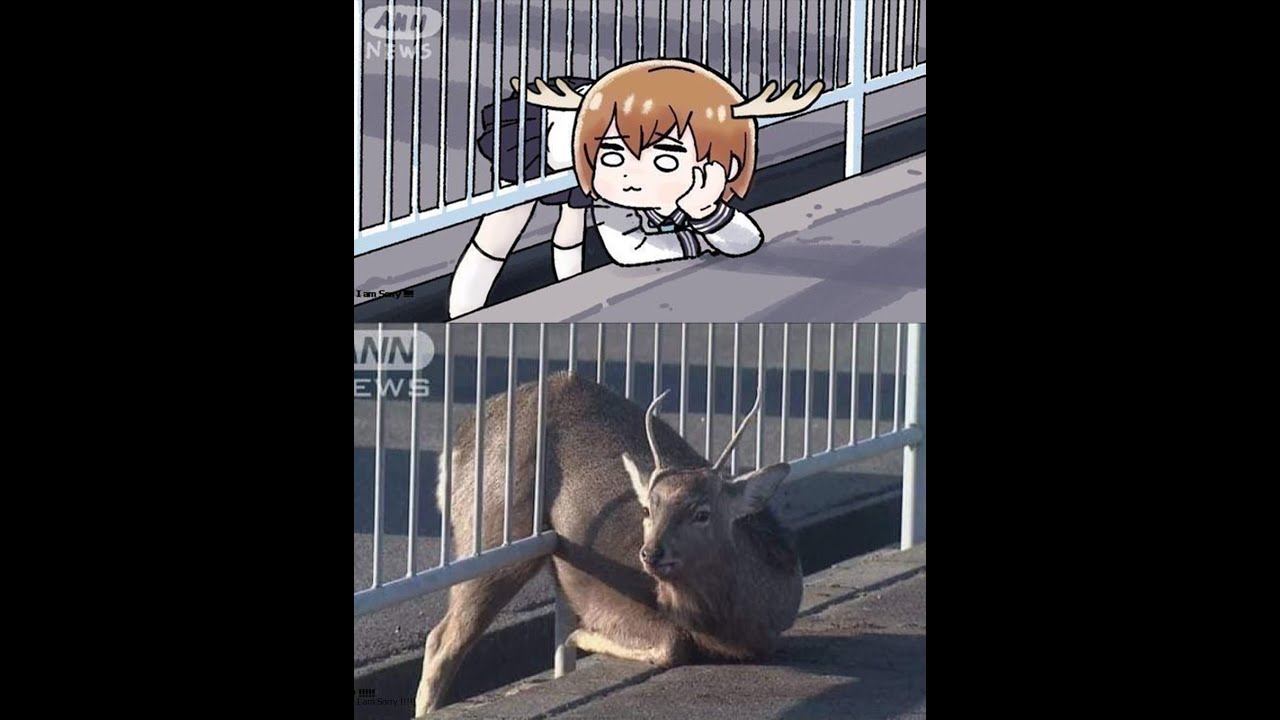 Compilado de memes e shitposts #15