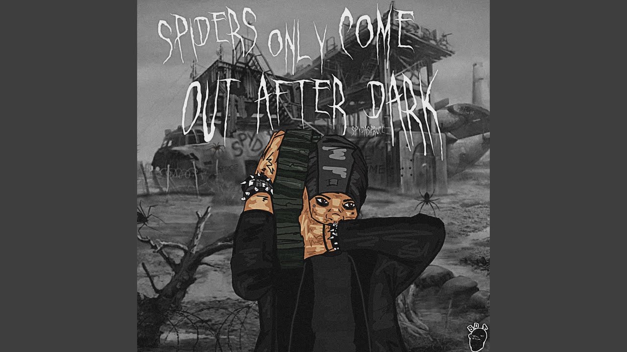 Spiders only come out after dark