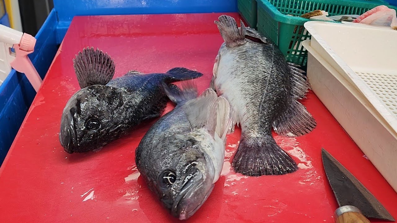3 филе корейского морского морского окуня весом 2,2 кг, нарезанные тонкими полосками.  живую рыбу.