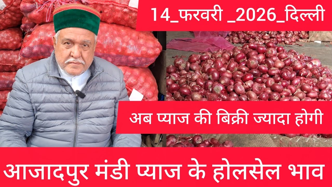 February 14, 2026 दिल्ली 🧄 लहसुन के भाव Azadpur delhi mandi today garlic market price #garlicmarket