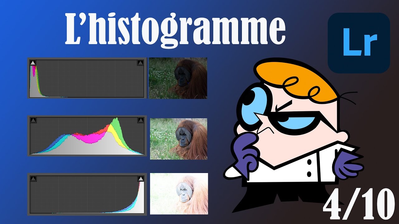10 astuces pour améliorer vos photos avec Lightroom: L'histogramme