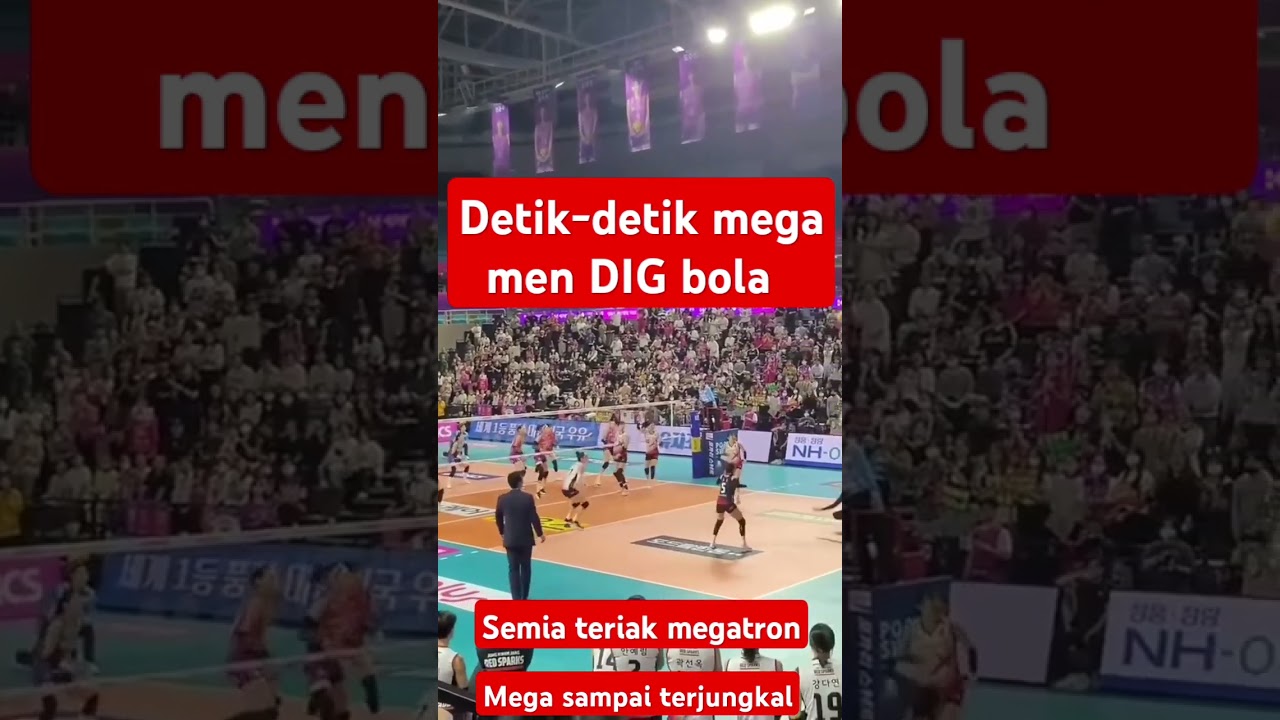 megawati hangestri men DIG bola spike lawan sampai terkungakal