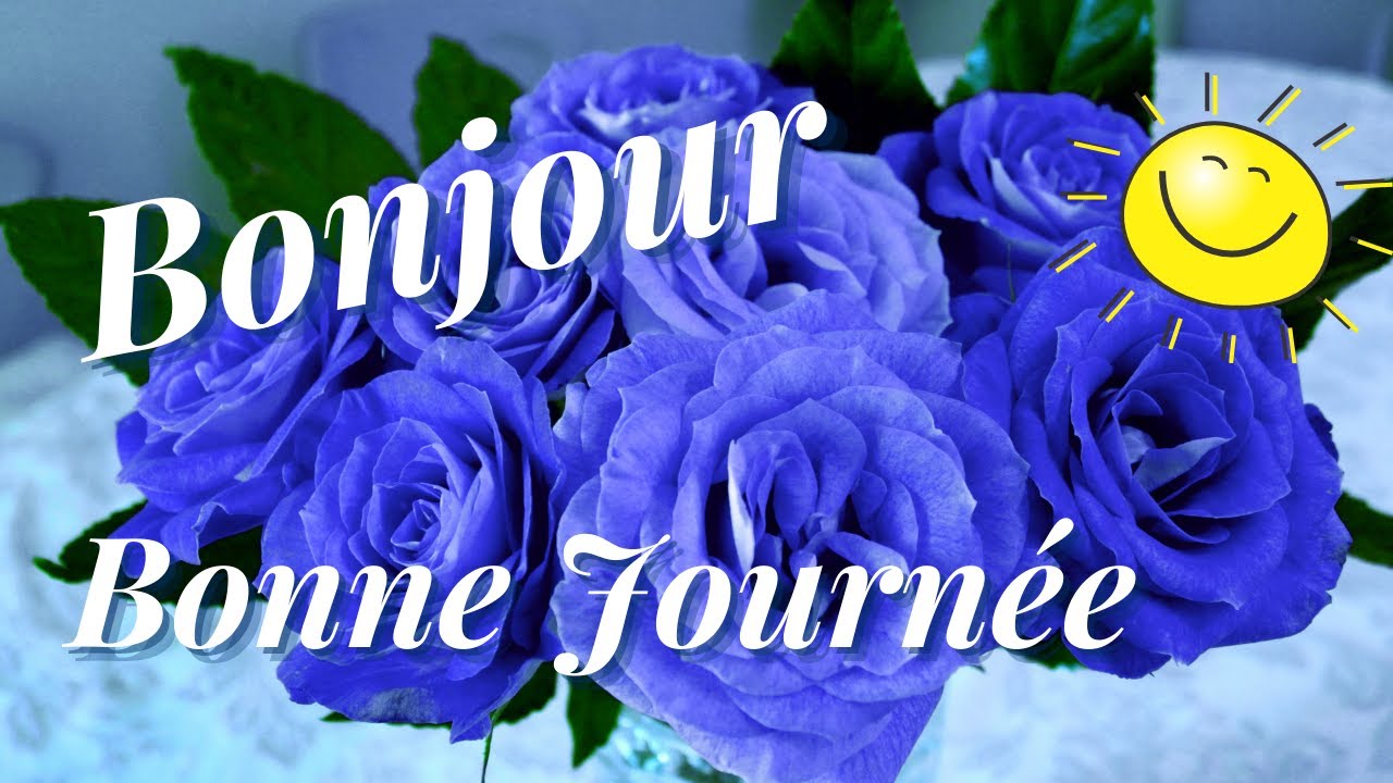BONJOUR !!! Bonne Journée !!! 💙