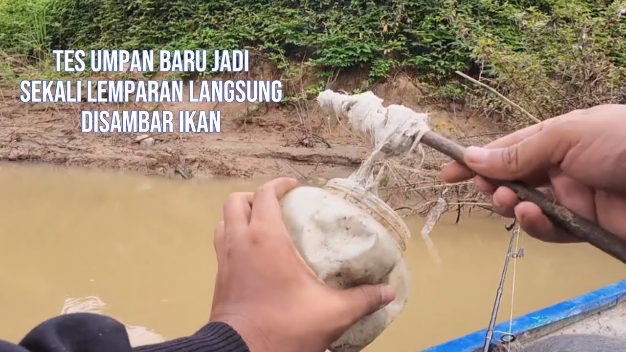 Tes umpan baru jadi , sekali lemparan langsung disambar ikan baung #mancingikan #dailyvlog #fishing
