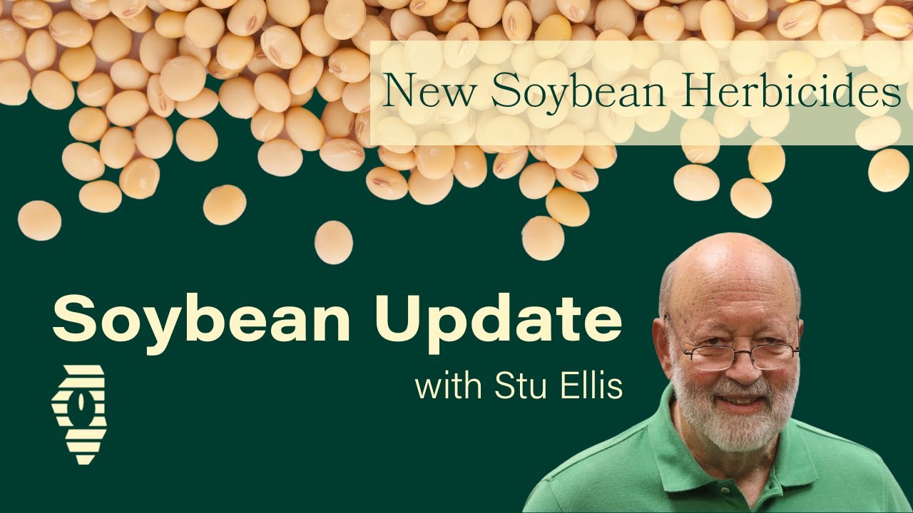 New Soybean Herbicides on the Horizon