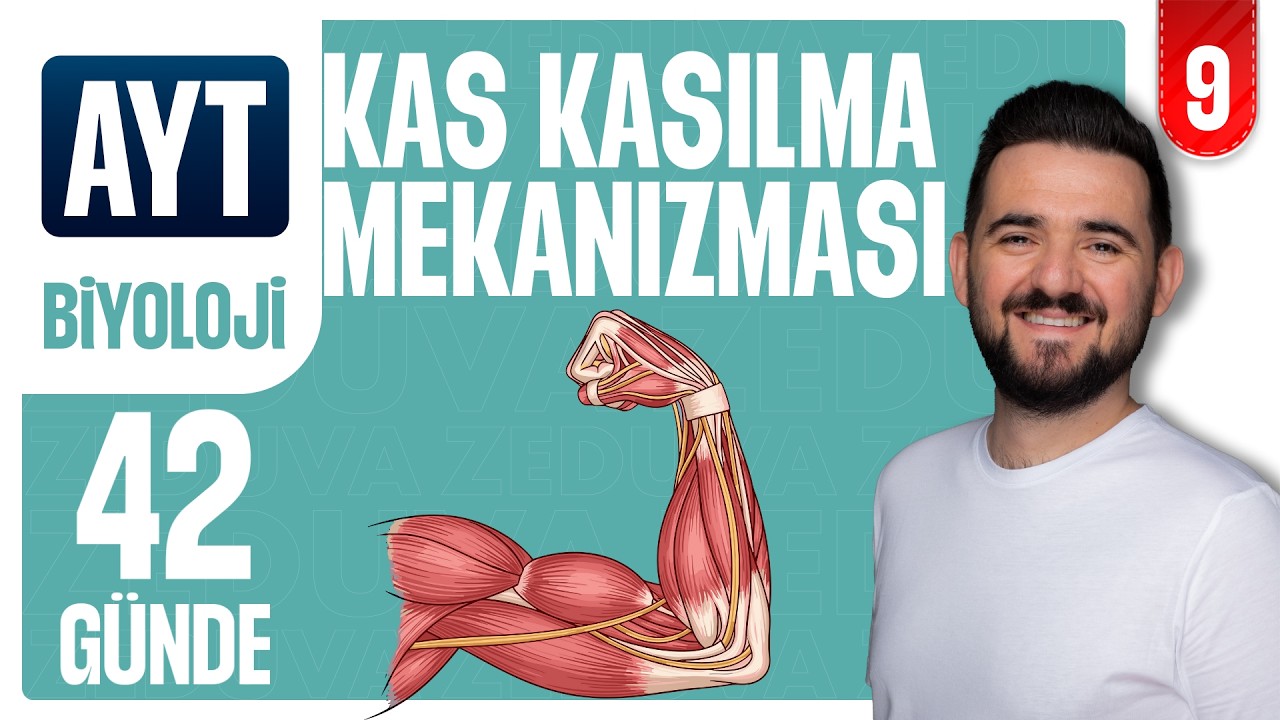 Kas Kasılma Mekanizması | 42 GÜNDE AYRINTILI AYT BİYOLOJİ KAMPI 2026-2027 | 9.GÜN