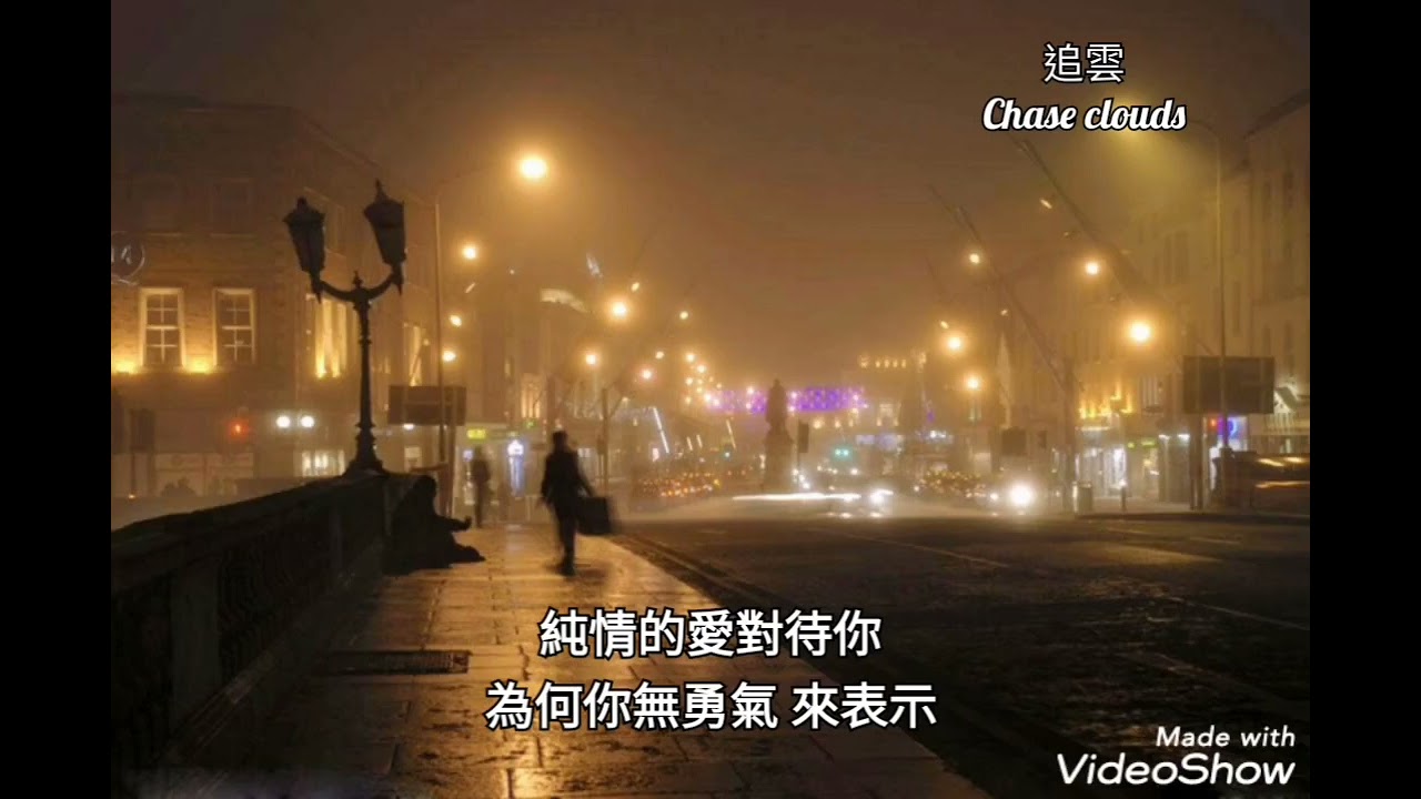 阮不是故意-蔡小虎