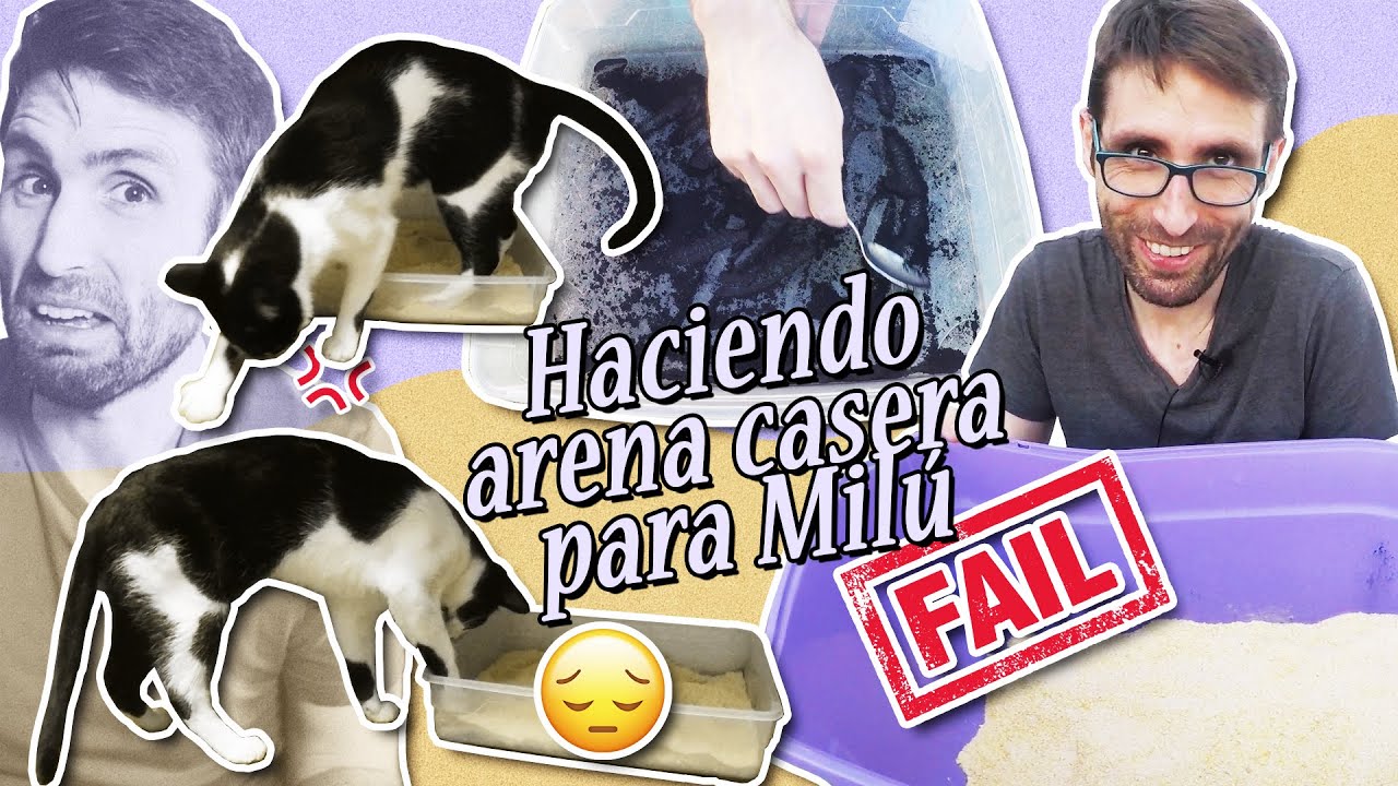 ¡Hacemos ARENA CASERA PARA GATOS! Milú la prueba pero sale FATAL 😾❌ | #DIY: Arena barata y ecológica