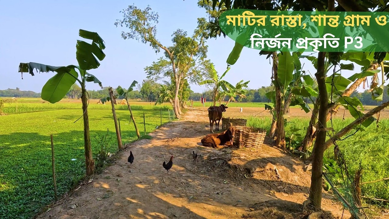 মাটির রাস্তা, শান্ত গ্রাম ও নির্জন প্রকৃতি Part 3 | গ্রামবাংলার সুন্দর পরিবেশ ও শান্ত জীবন