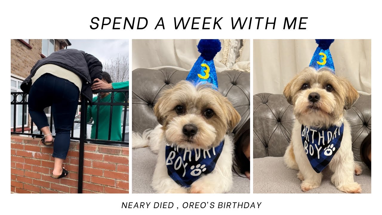 SPEND A WEEK WITH ME VLOG + Nearly fell and died 😂🤣 + FUNNIEST VLOG