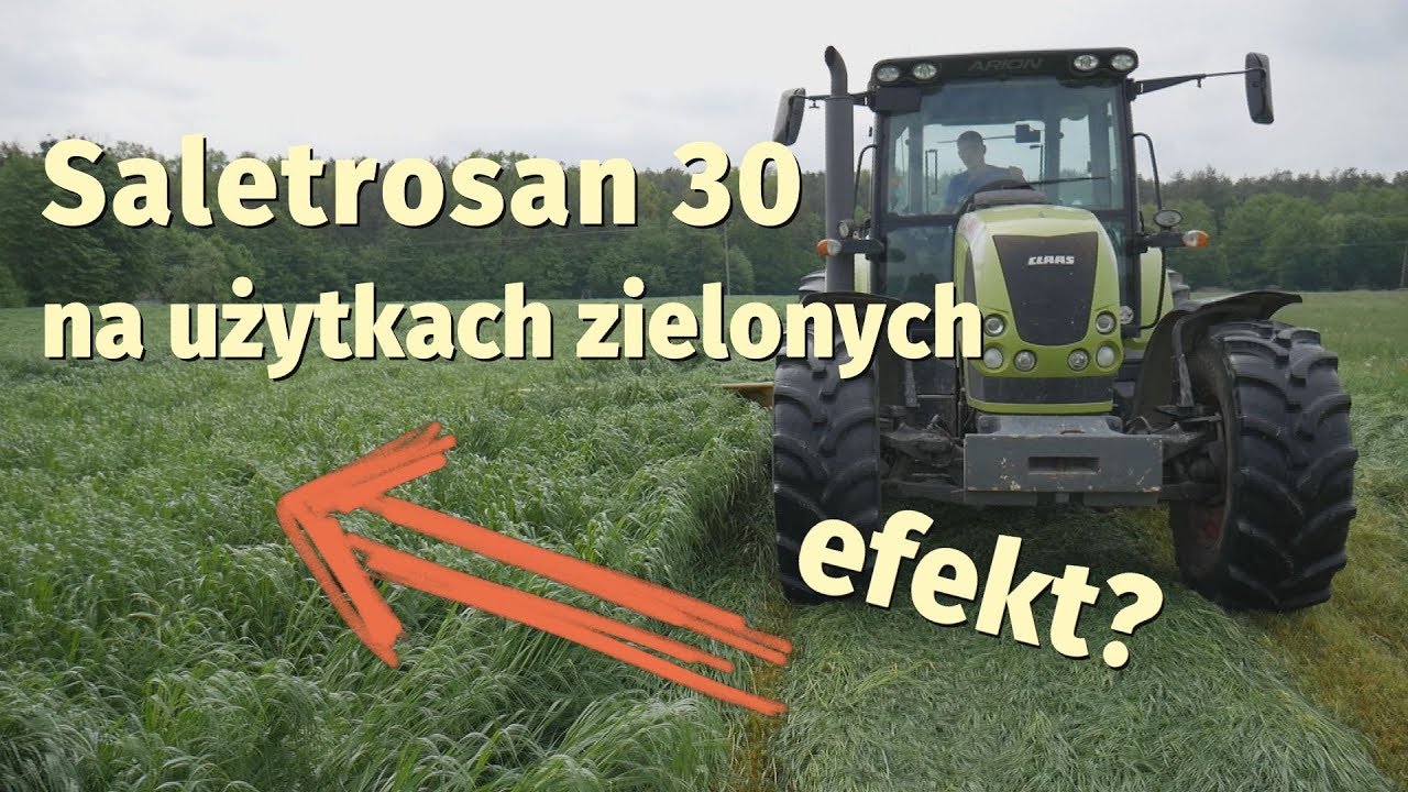 #81 nawozy nonstop - JAK ROŚNIE TRAWA PO SALETROSANIE 30?