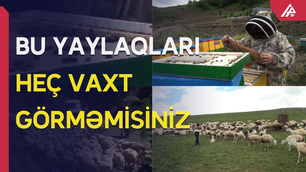 Kəlbəcər və Laçın yaylaqları: HEÇ YERDƏ GÖRMƏDİYİNİZ GÖRÜNTÜLƏR - APA TV