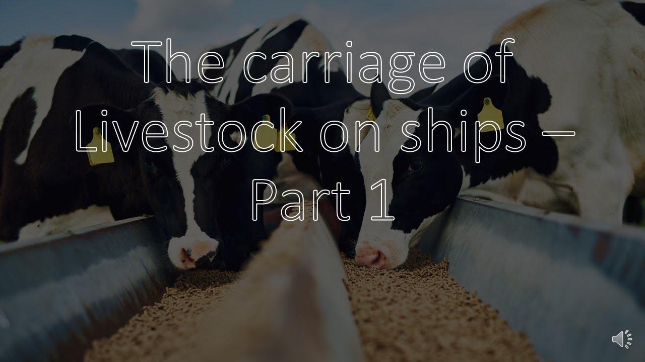 Carriage of Livestock on ships (Part 1) - All you need to know!!