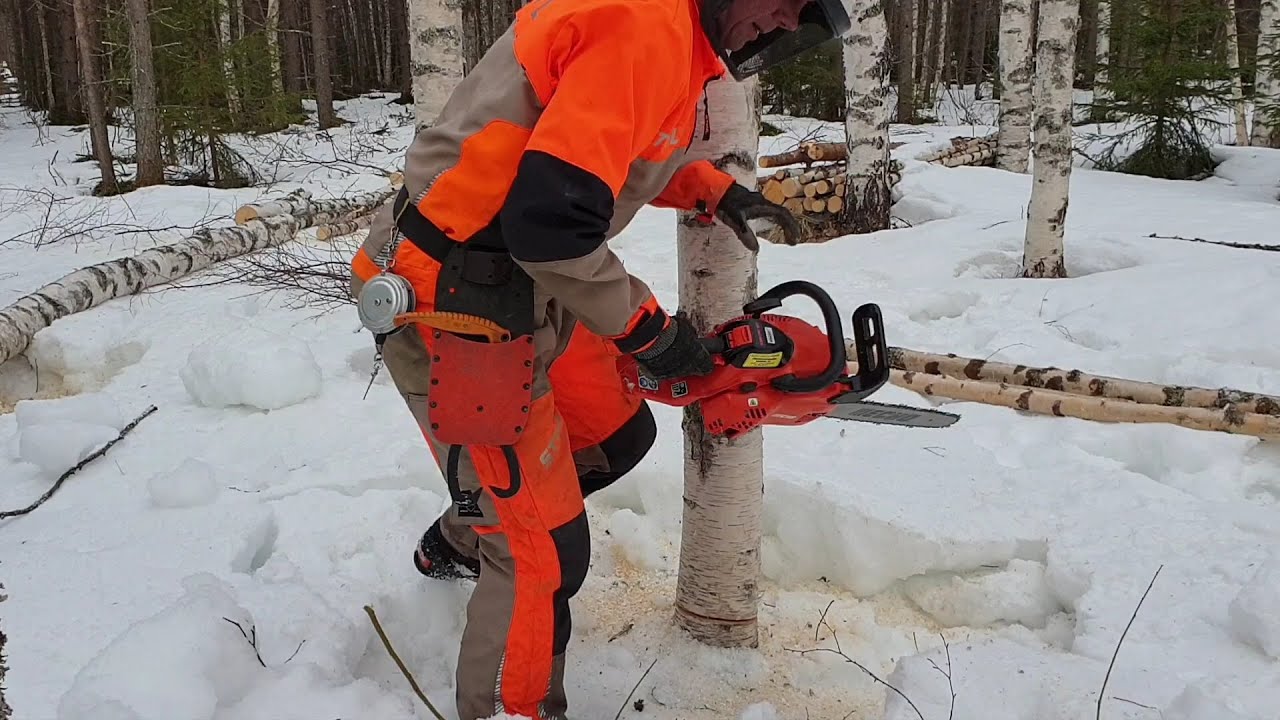 Echo CS-362WES ja kuuden päivän savotta | Six-day logging |