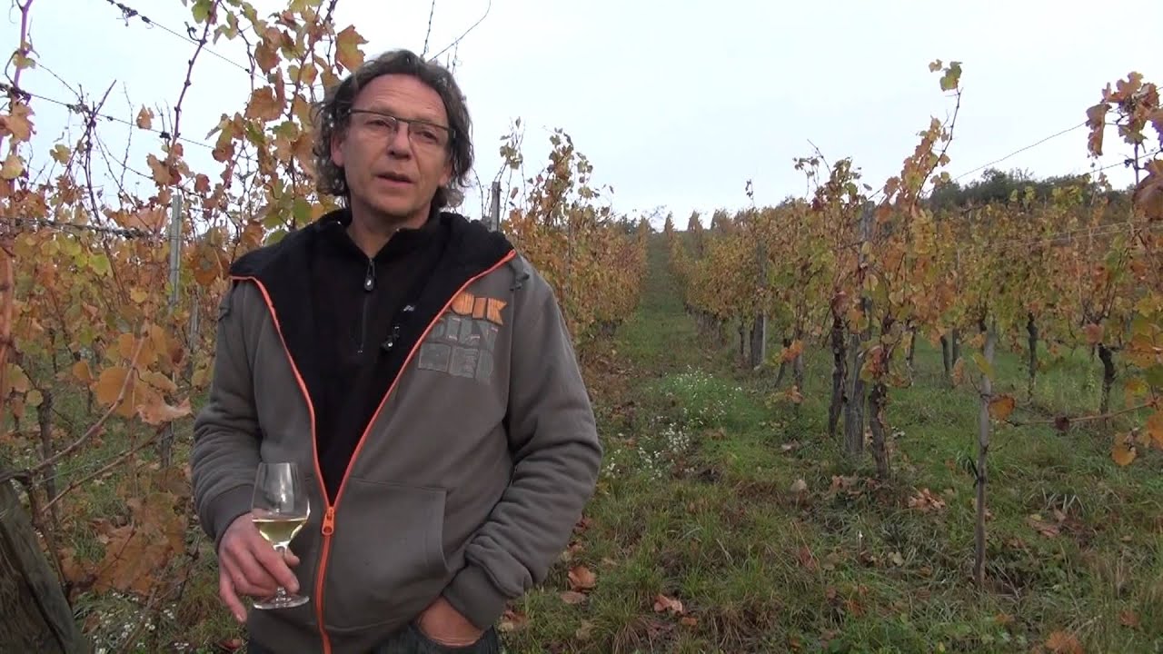 Alsace Grand Cru Muenchberg