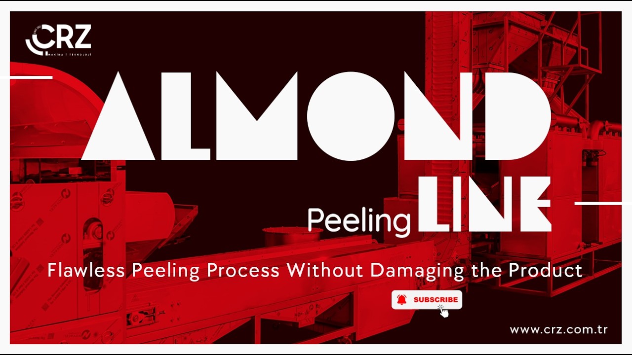 CRZ MAKINA - ALMOND PEELING LINE