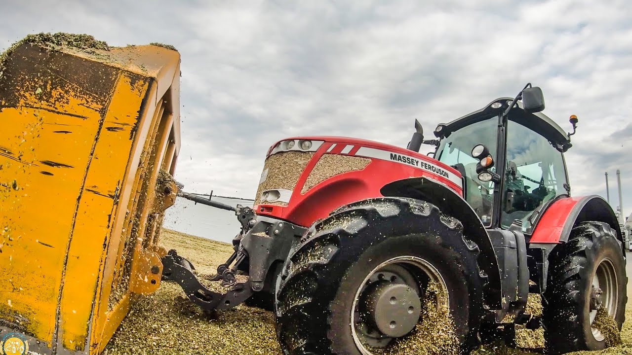 Massey Ferguson 8650 - Silieren-Biogasanlage /4 Fahrzeuge  Biggest Mais Ernte