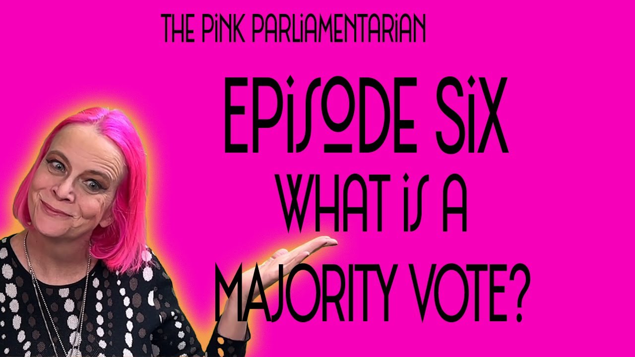 What is a Majority Vote? - The Pink Parliamentarian Ep. 6