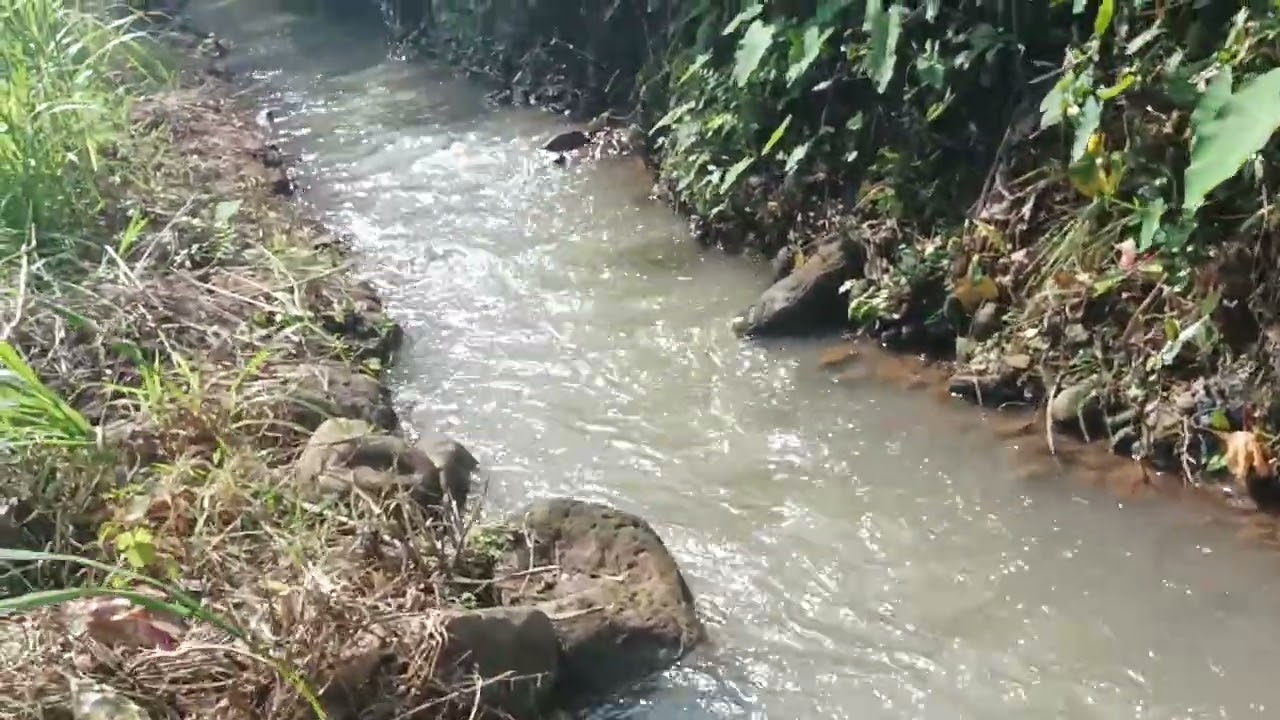 Interaksi dengan alam
