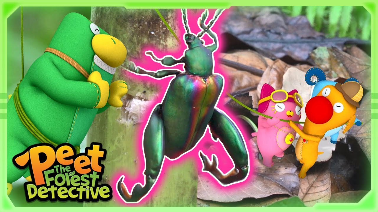 Mystery Bulging Legs? (Beetles!) 🦵🔍  | Full Episode | Cartoons for Kids | Peet The Forest Detective