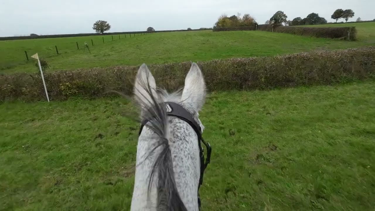 Essex and Suffolk Intermediate Team Chase