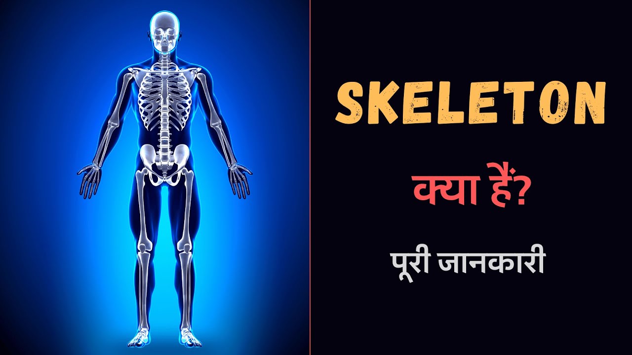 What is Skeleton With Full Information - [Hindi] - Quick Support