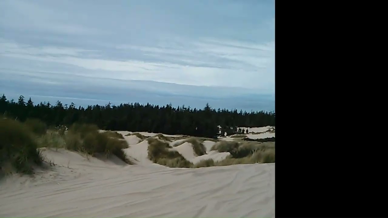Oregon Coast sand dunes