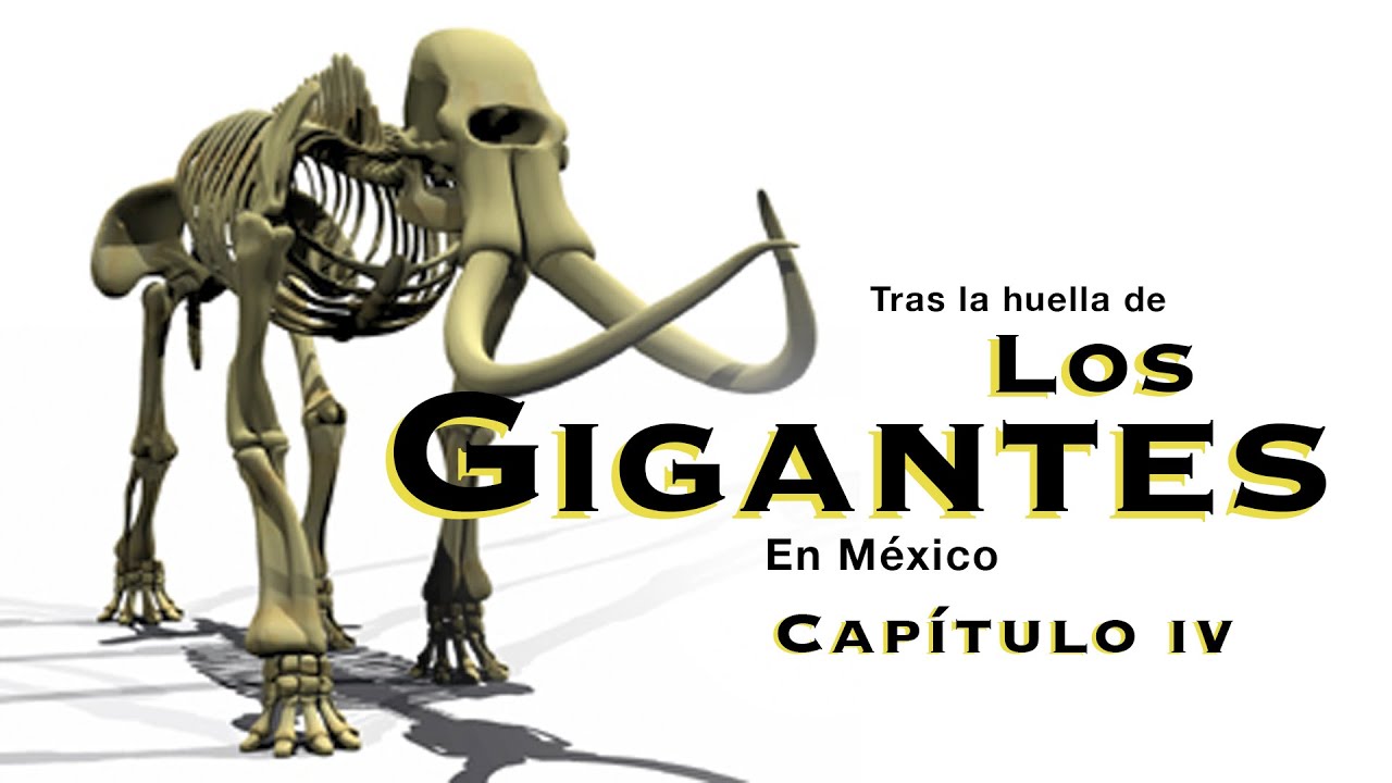 Siguiendo las huellas MAMUT en México (Capítulo IV)