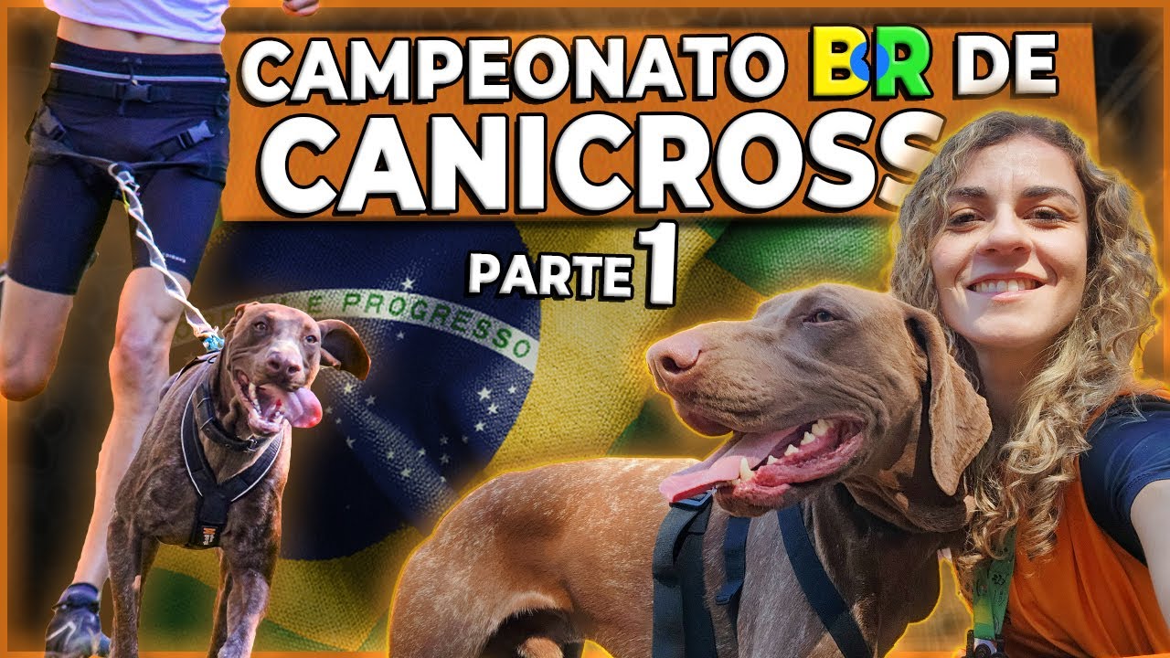 CANICROSS - CAMPEONATO BRASILEIRO DE CANICROSS - PARTE 1 : A CORRIDA - #canicross