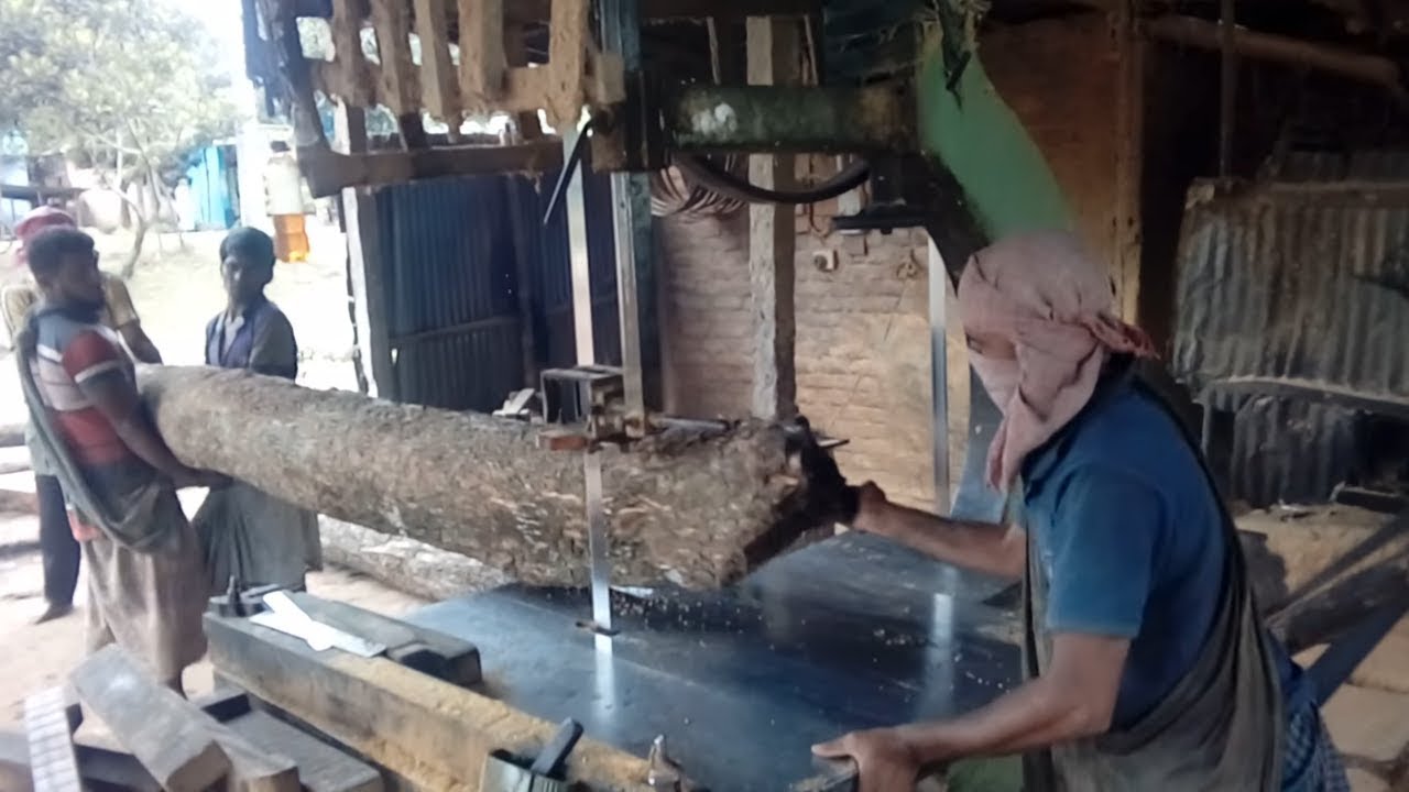 Very Fast Saw Mill Workers in the World। Bangladesh Village Saw Mill Wood Cutting Technique