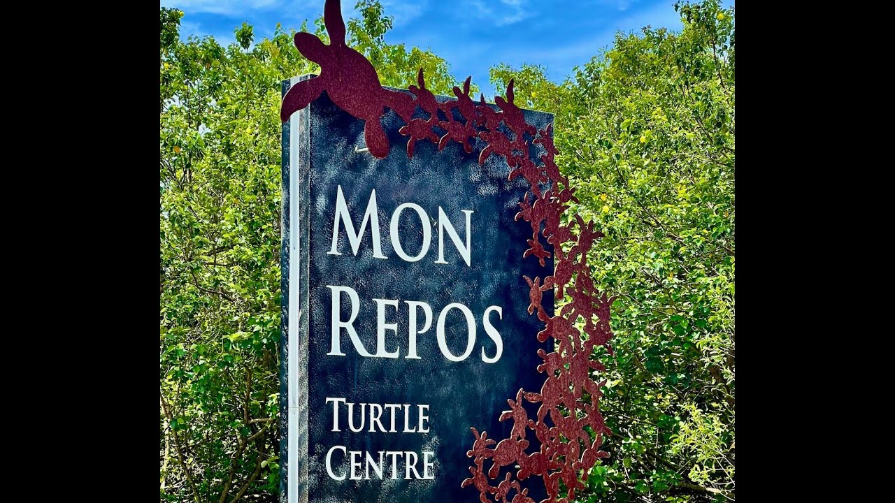 Tiny On Tour E34  -  Turtle Sands Mon Repos Beach