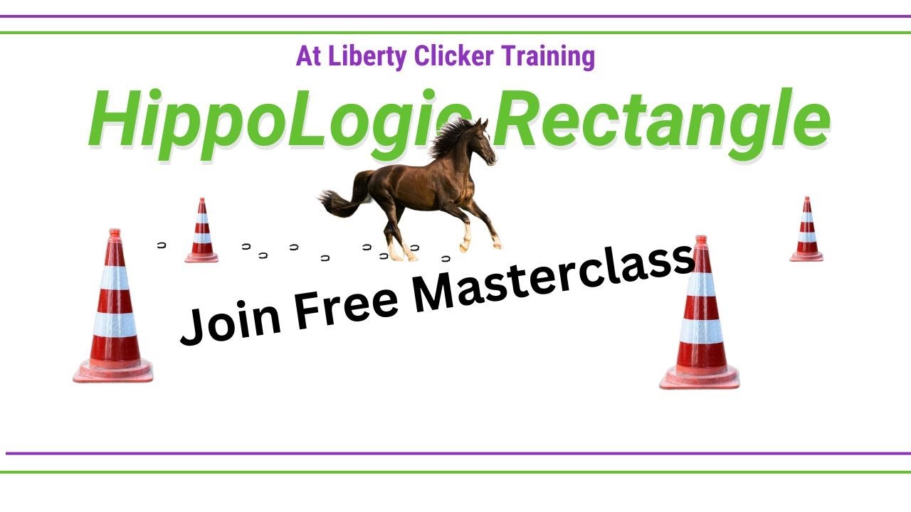 At Liberty Training using HippoLogic rectangle