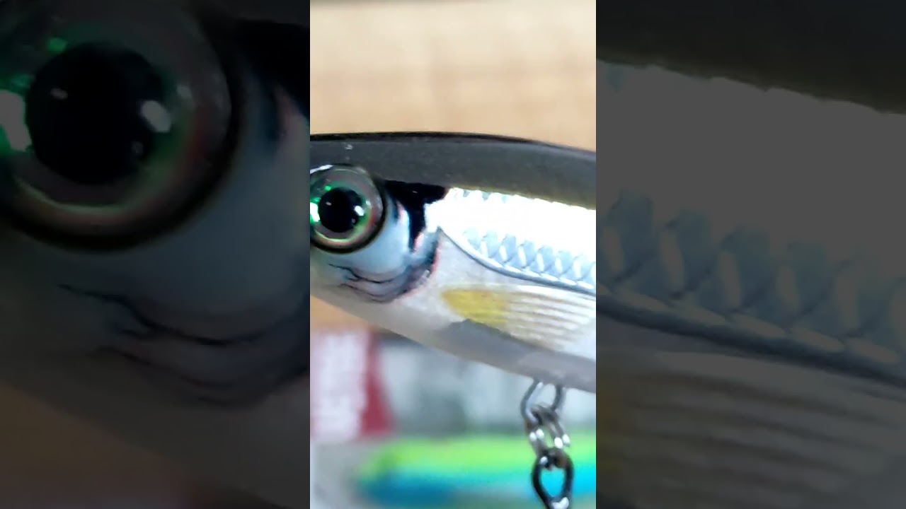 Rapala BX
