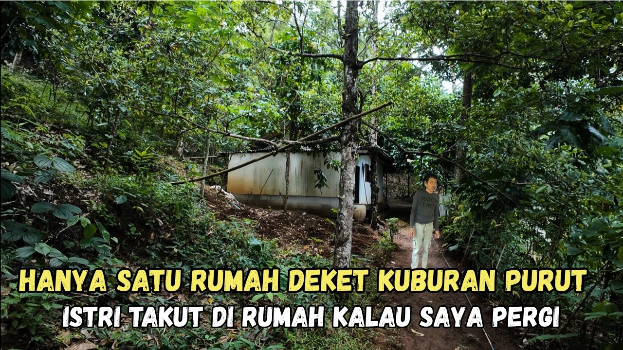 Ini Sih Nekad ! Hanya Satu Rumah Yang Berani Tinggal di Tengah Hutan Dekat Kuburan Purut
