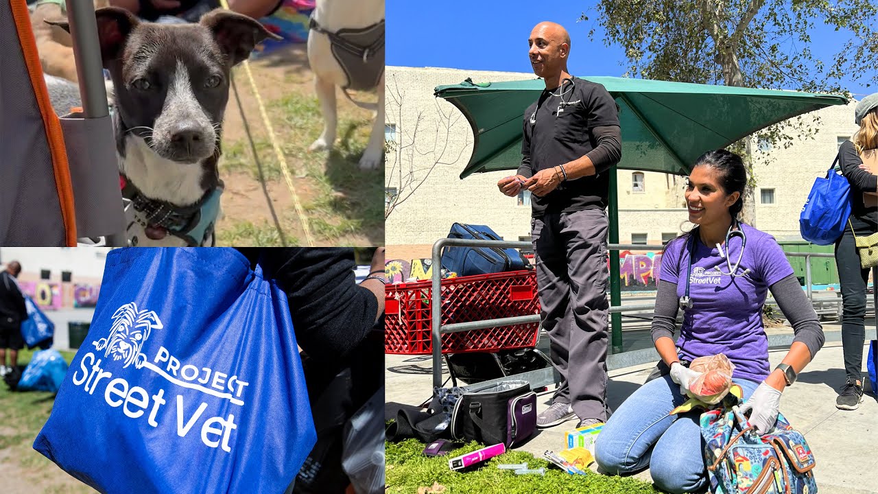 Skid Row Street Vet Work