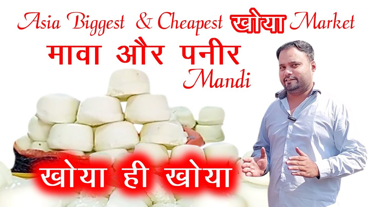 Asia biggest & cheapest खोया market || Khoya & Paneer mandi Morigate