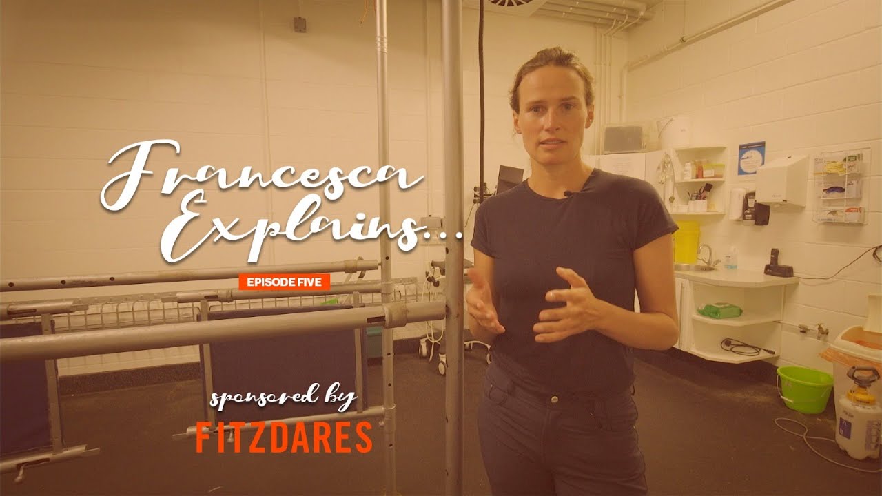 Fran Explains Episode 5 - Rossdales Equine Hospital
