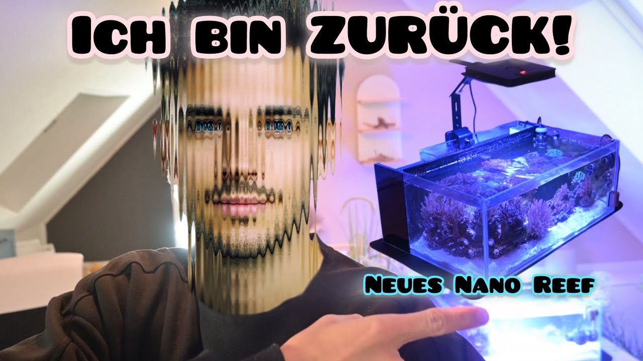 Ich bin zurück! Neues Nano Meerwasseraquarium Start –von terranatur - Aufbau Schritt für Schritt🐠