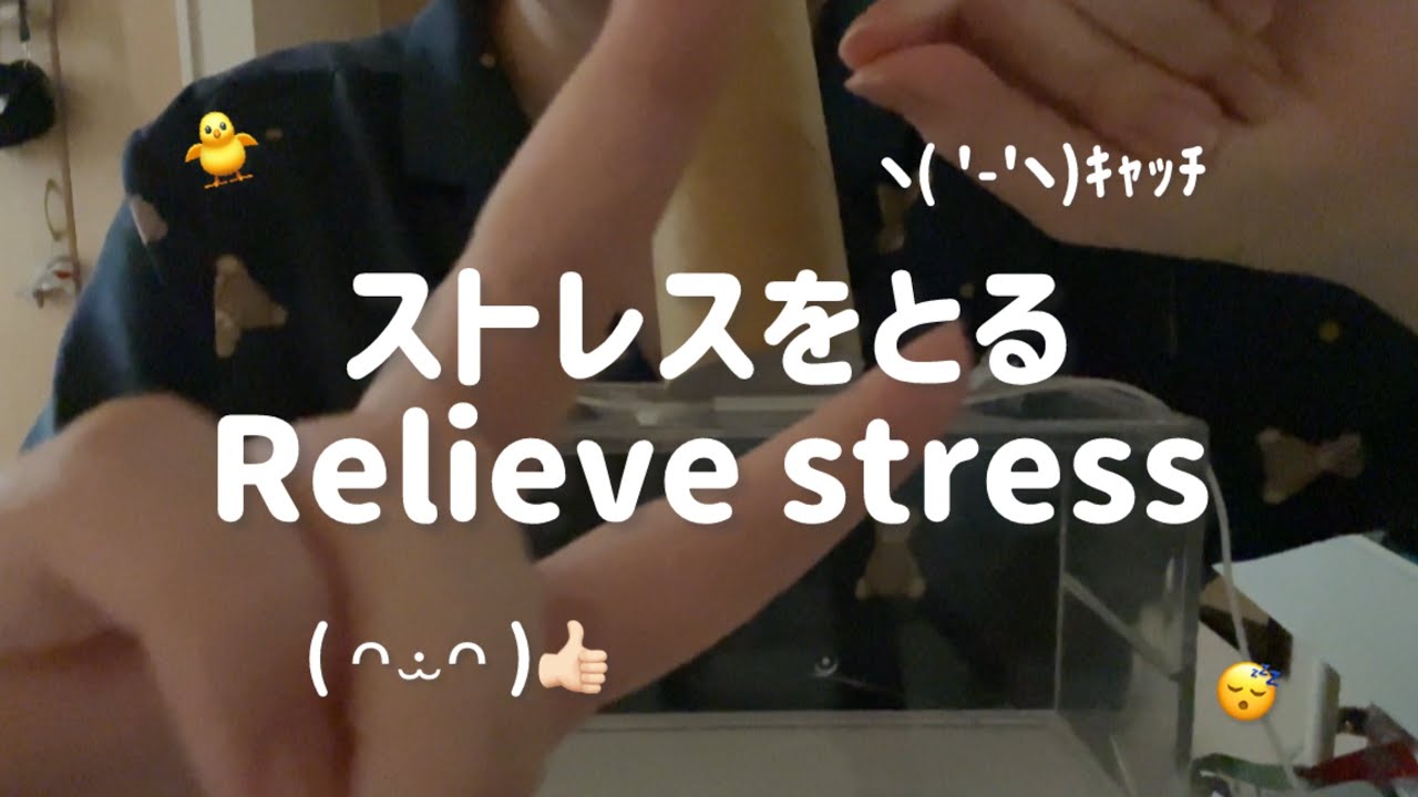 【ASMR】あなたのストレスを取る