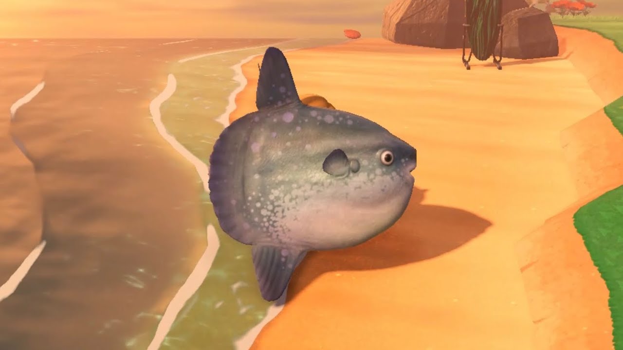 Animal Crossing - Sunfish - Peixe Lua - Mola-mola