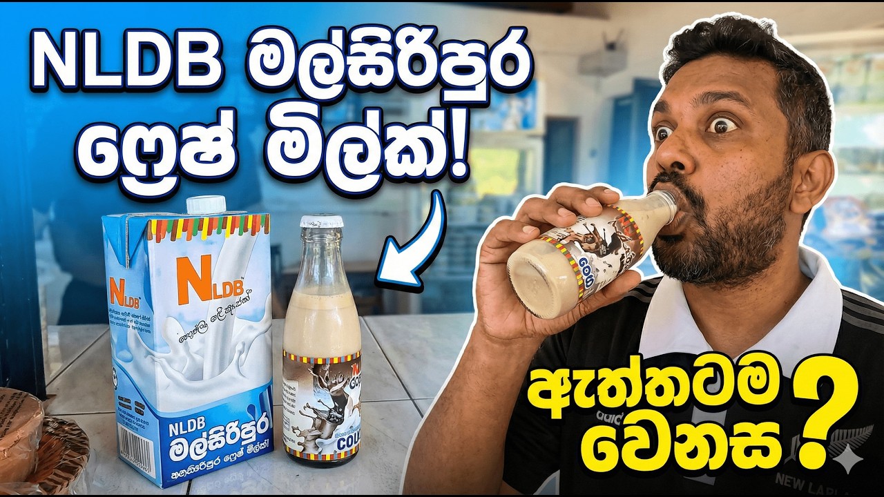 මෙන්න NLDB මල්සිරිපුර Fresh Milk 🥛 | ඇත්තටම වෙනස මොකද්ද? 😲