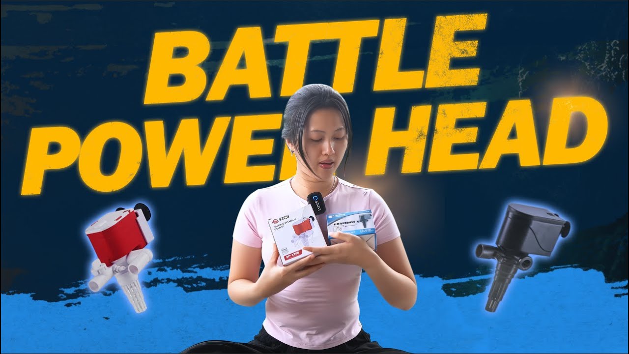 BATTLE POWER HEAD AQUARIUM! WATT NYA KECIL BANGET?! - POWER HEAD KANDILA 1200, POWER HEAD RDI 1200