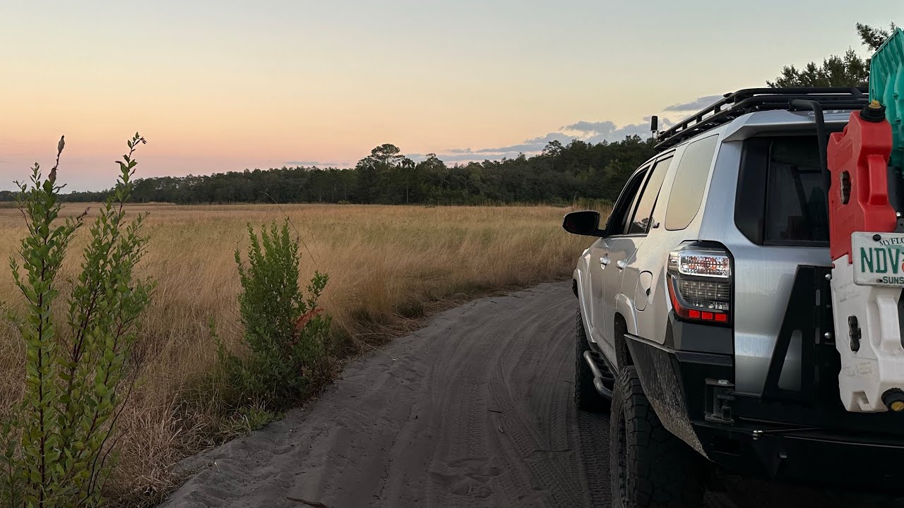 Тропа 25 и прерия Хопкинса | Исследование национального леса Окала