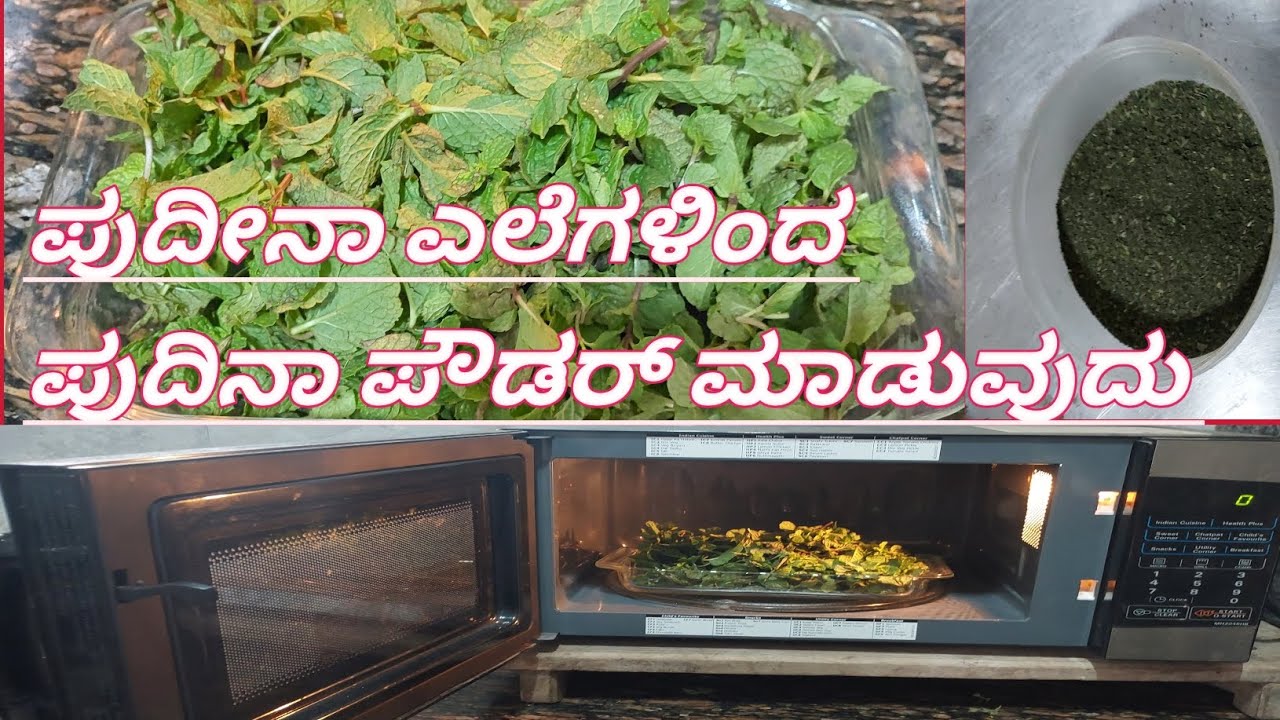 Mint Powder at home in Microwave oven🌿 ||pudina Leaves powder.🌿🌿.