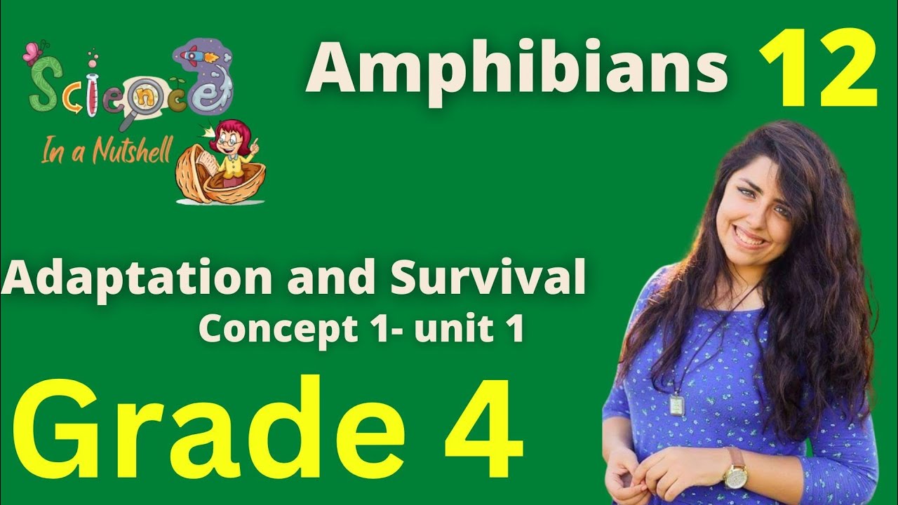 Science-Amphibians-Concept 1 - Unit 1-Grade 4-video 12
