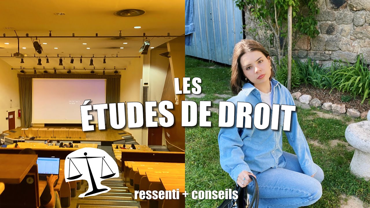 LES ÉTUDES DE DROIT
